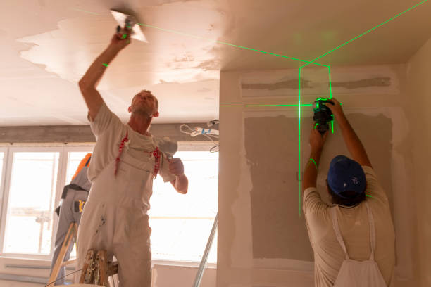 Best Drywall Removal and Disposal  in South Amherst, OH